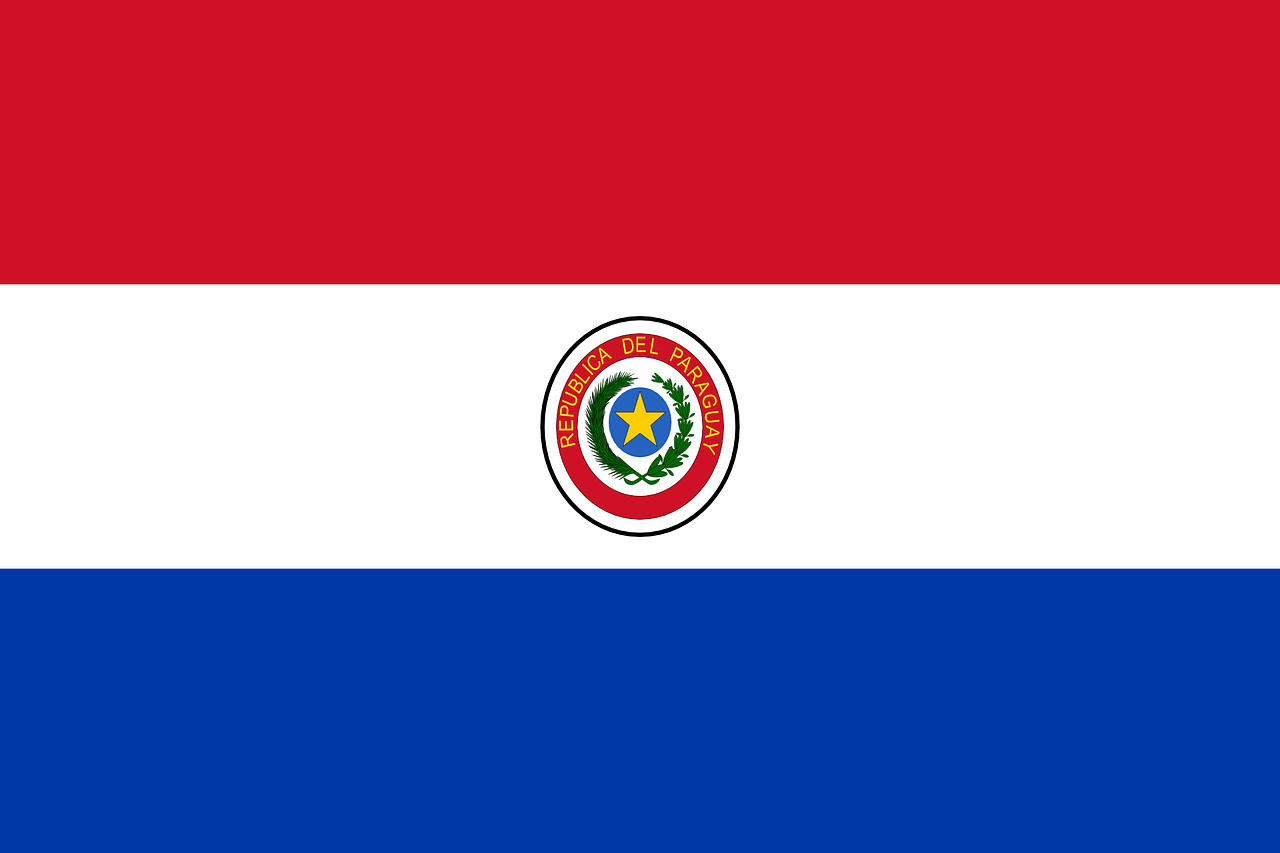 paraguay flag national flag free photo