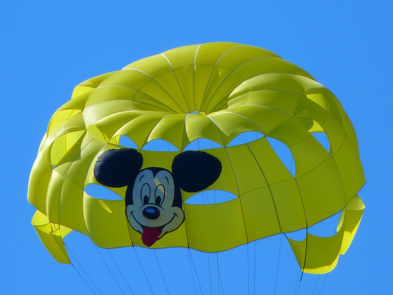 parasailing controllable parachuting parachute free photo
