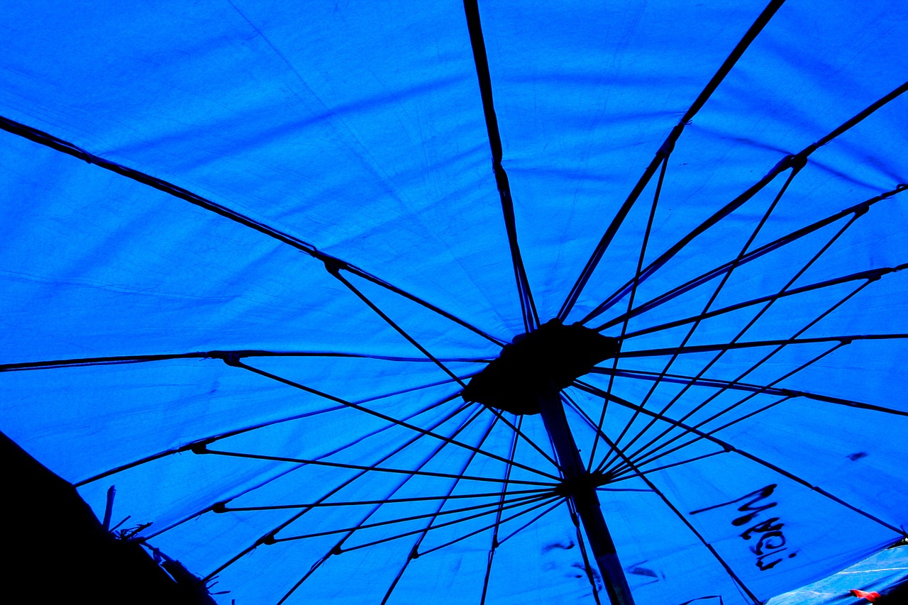 parasol blue eastern free photo