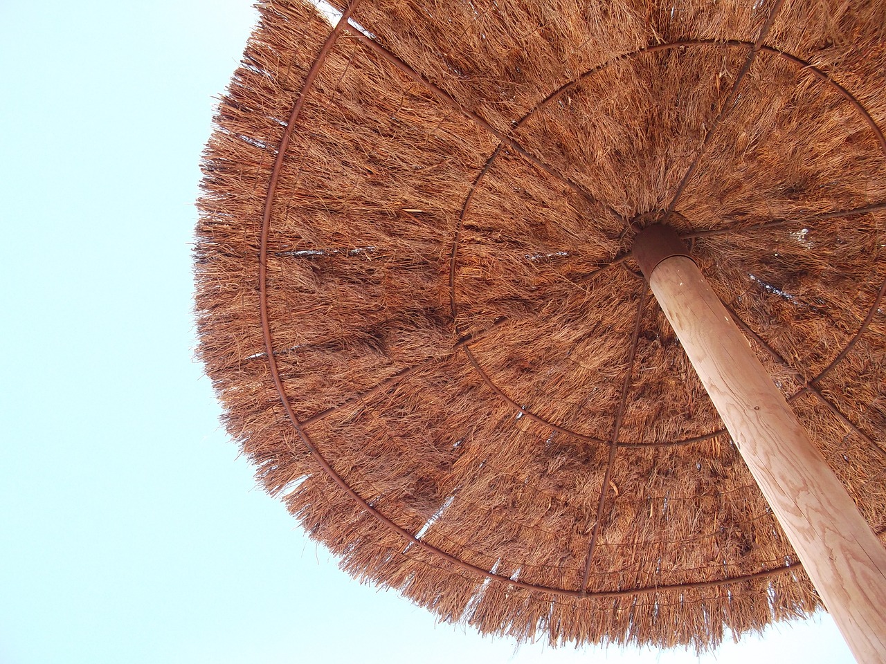 parasol beach canary islands free photo