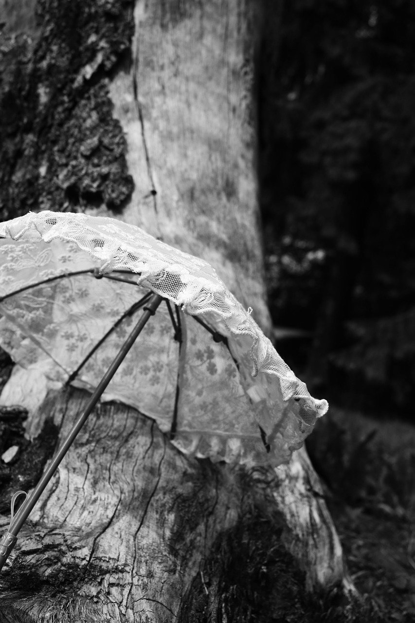 parasol umbrella summer free photo