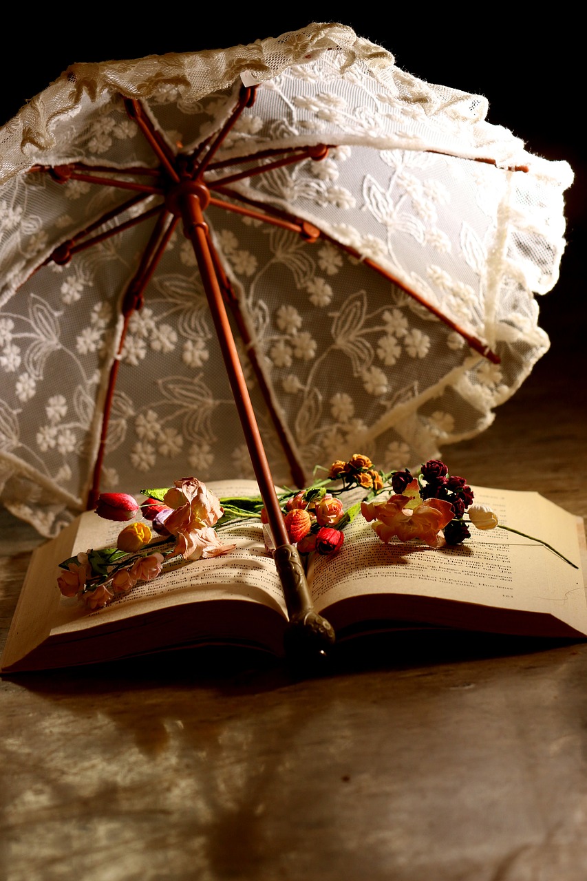 parasol book reading free photo