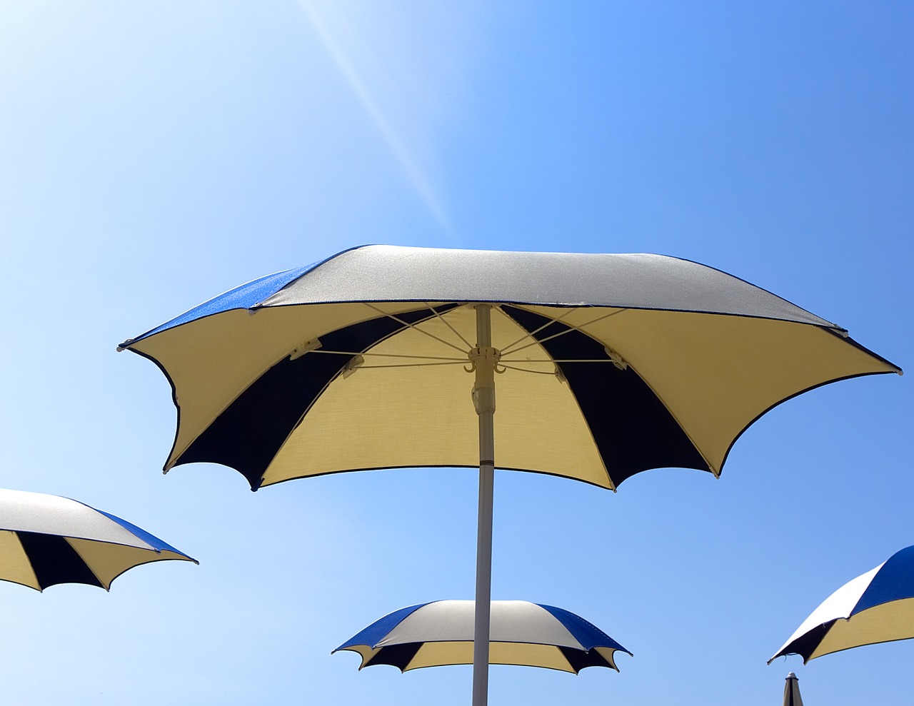 parasol parasols sun free photo