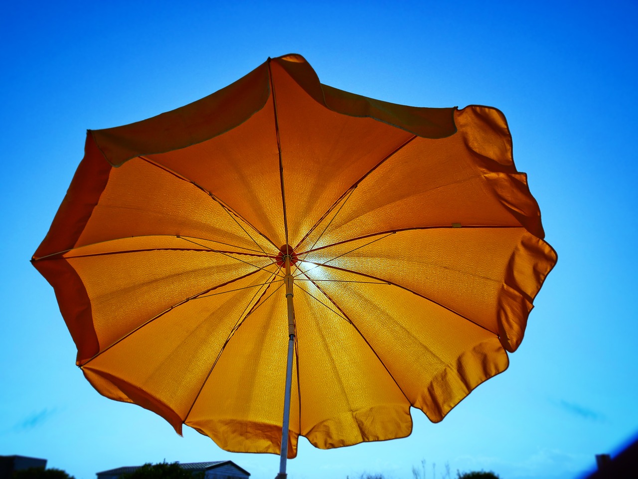 parasol sun beach free photo