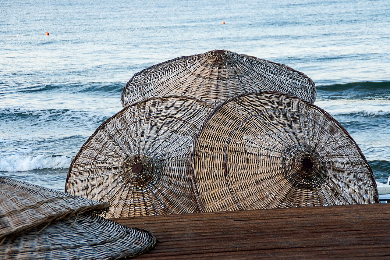 parasol  beach  sea free photo
