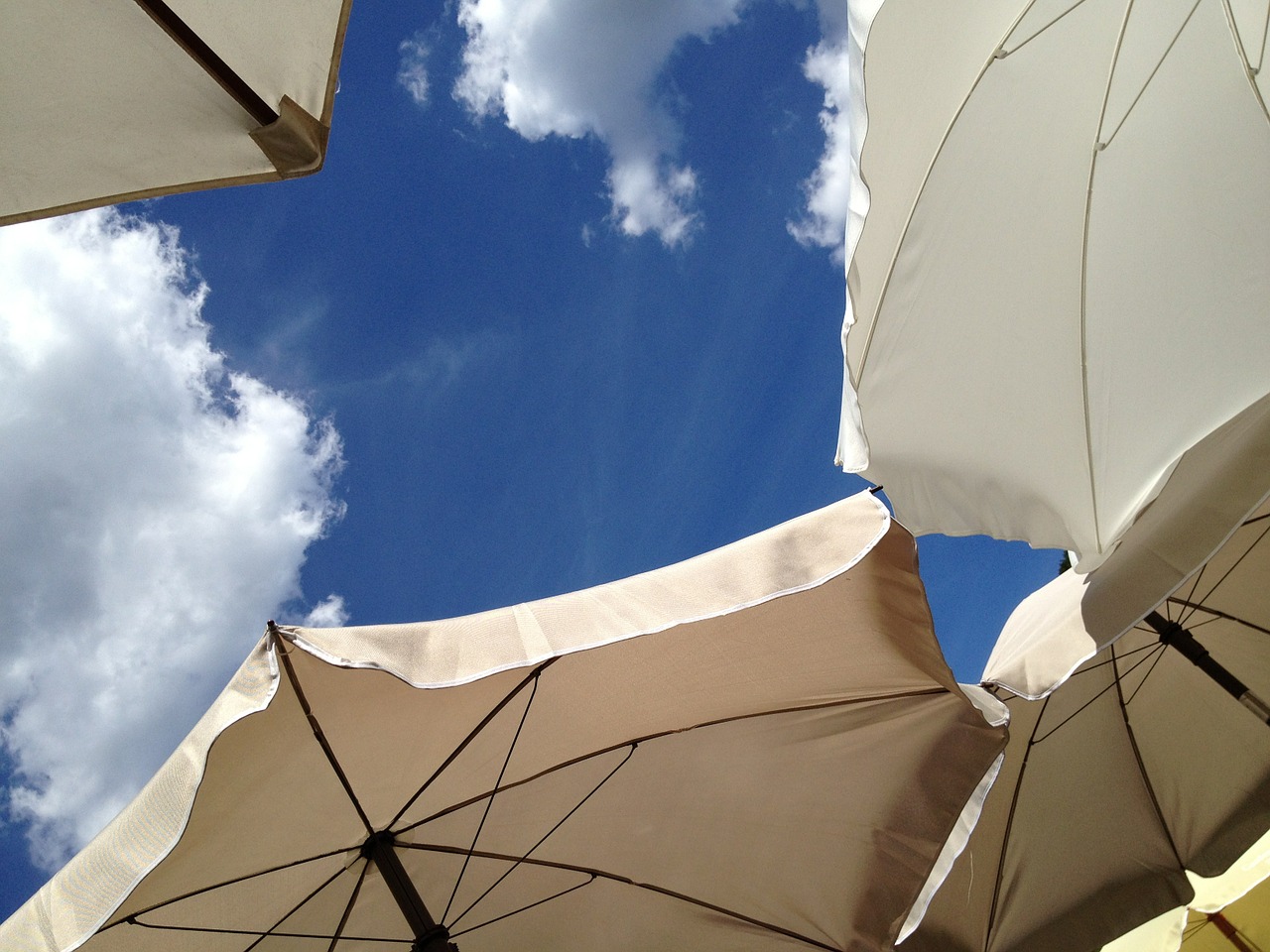 parasol blue sky summer free photo