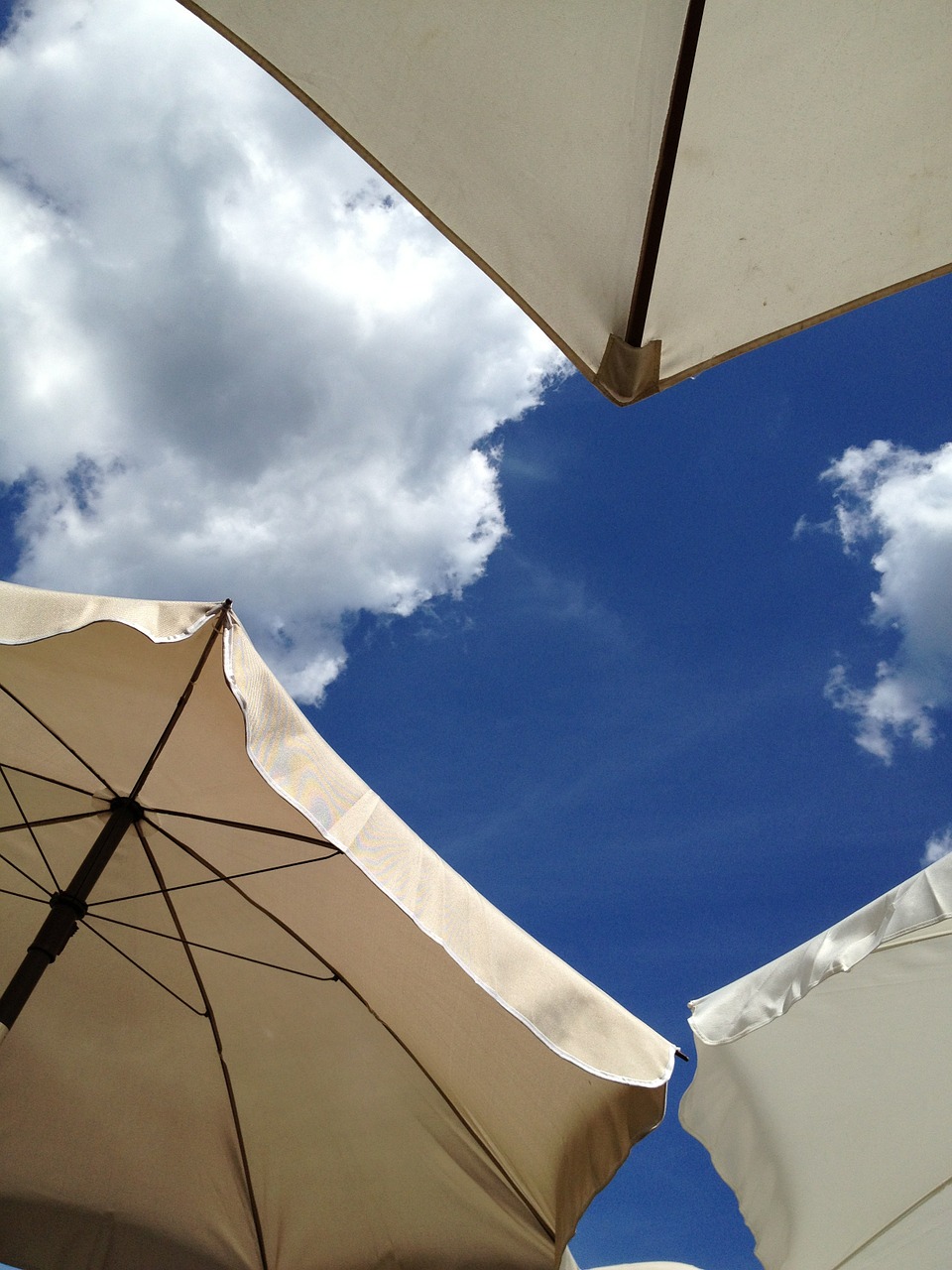 parasol blue sky summer free photo