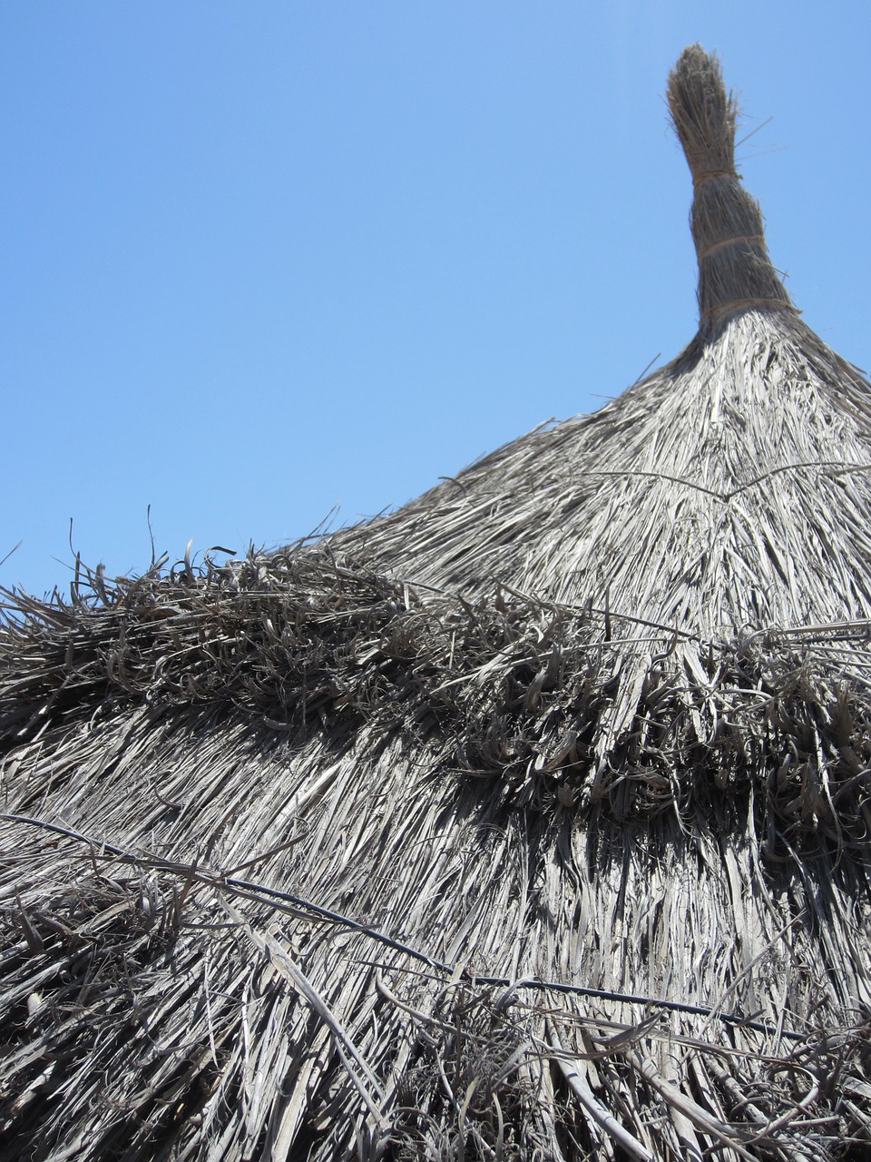 parasol sky tropical free photo