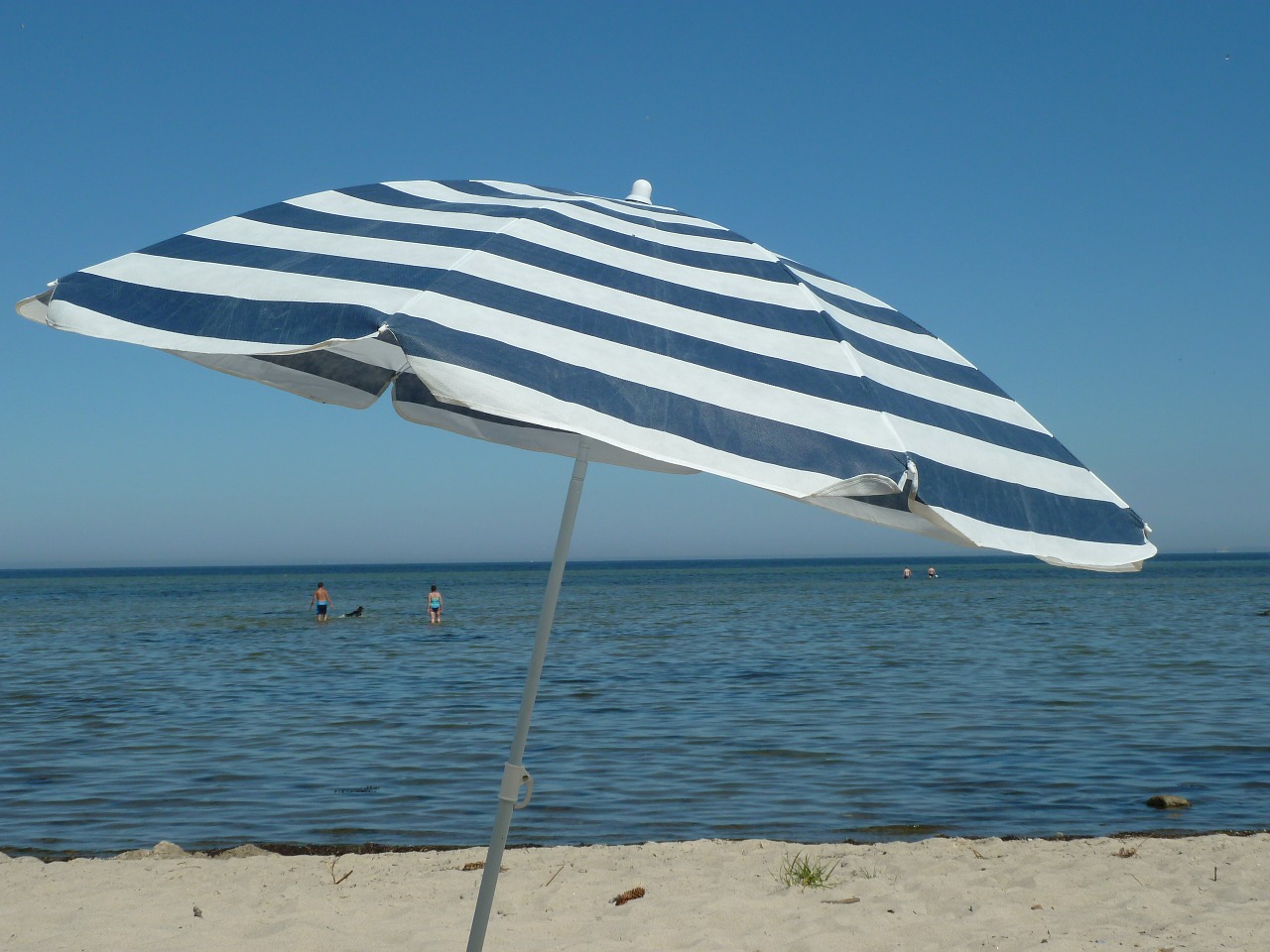 parasol sea beach free photo