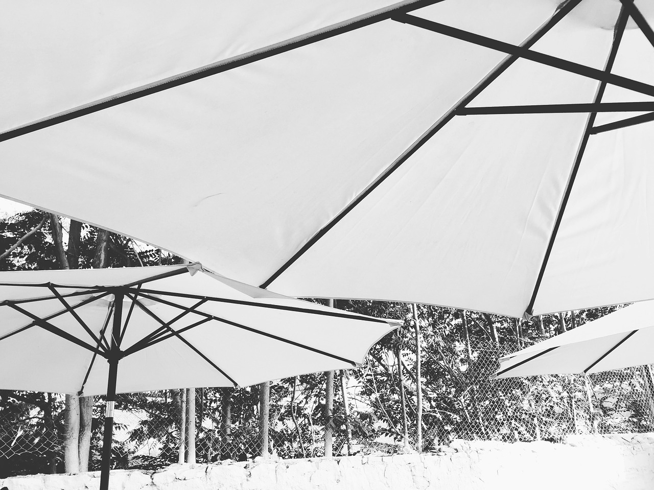 parasol umbrella sun free photo
