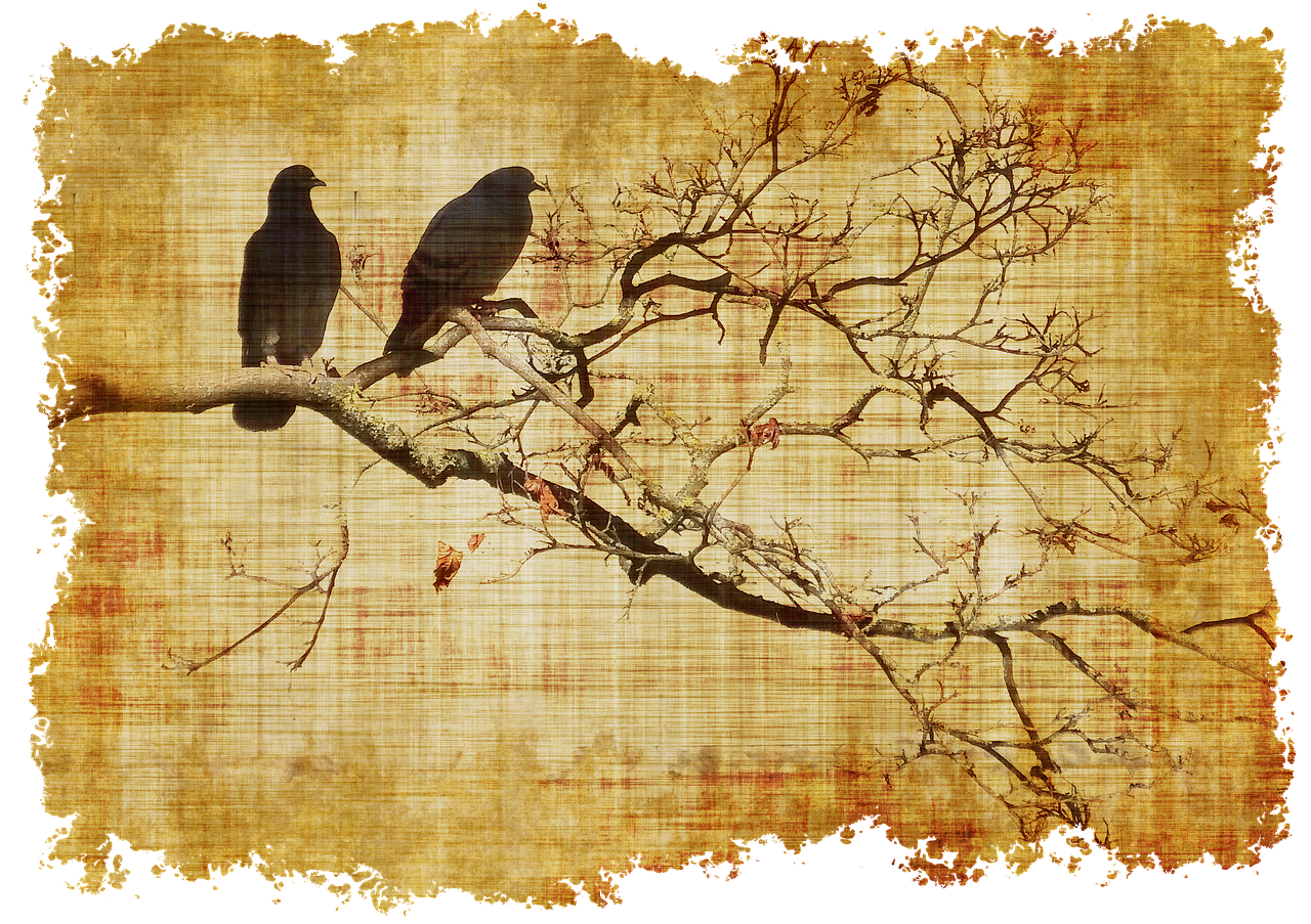 parchment birds branch free photo