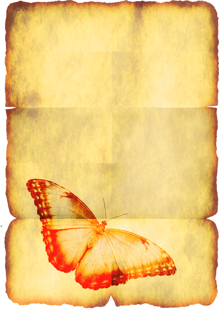 parchment stationery butterfly free photo