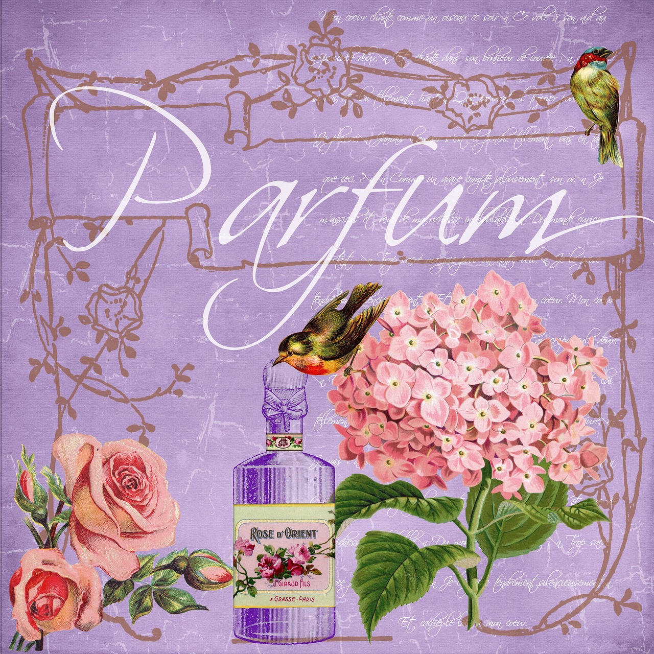 parfum vintage collage free photo