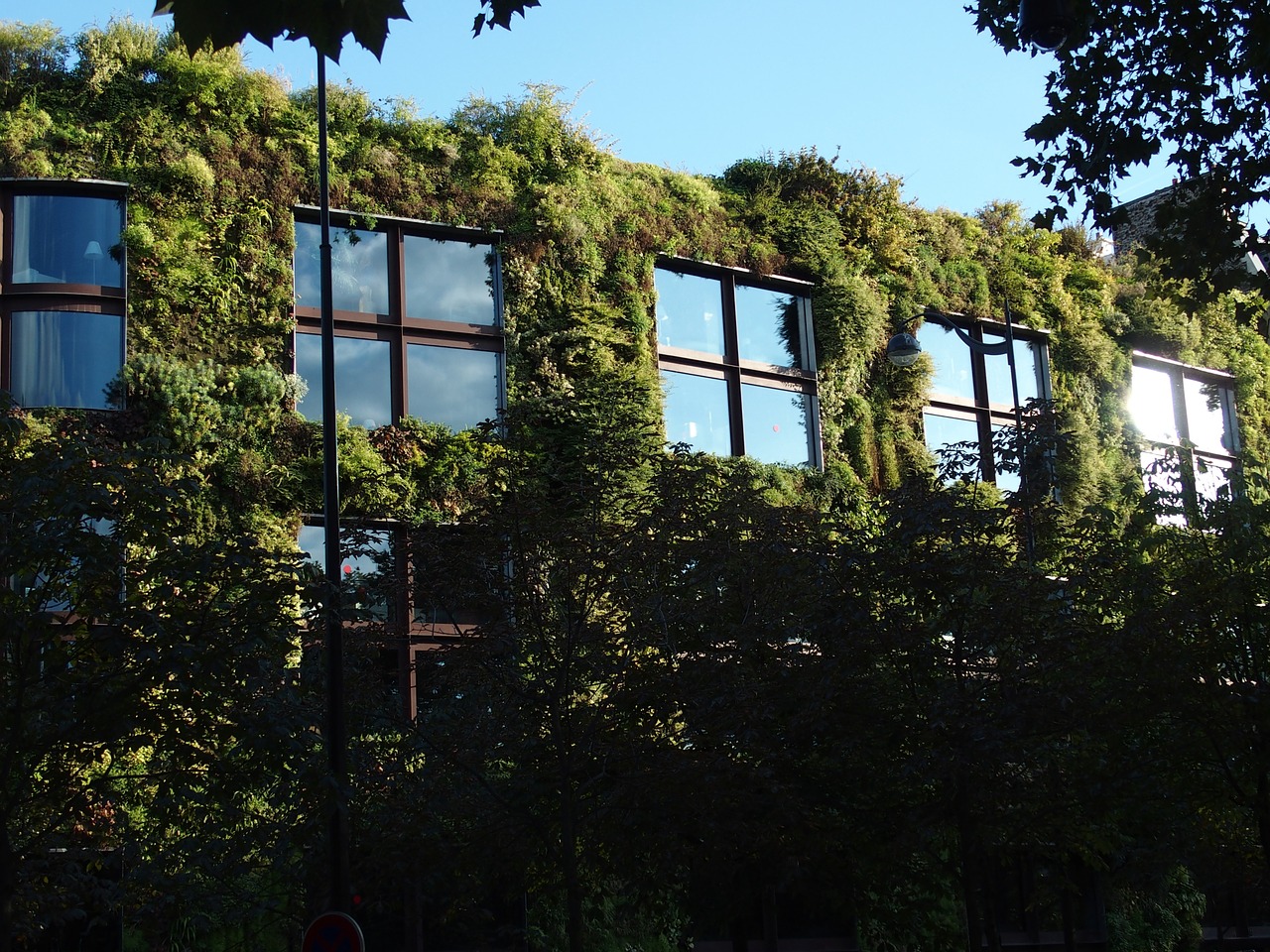 paris vegetal wall plants free photo