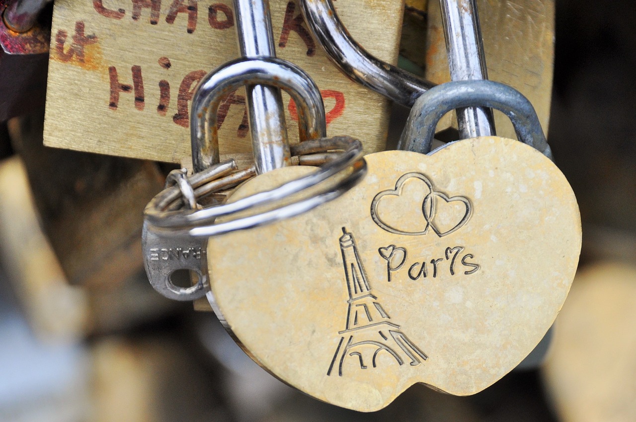 paris bridge seine free photo