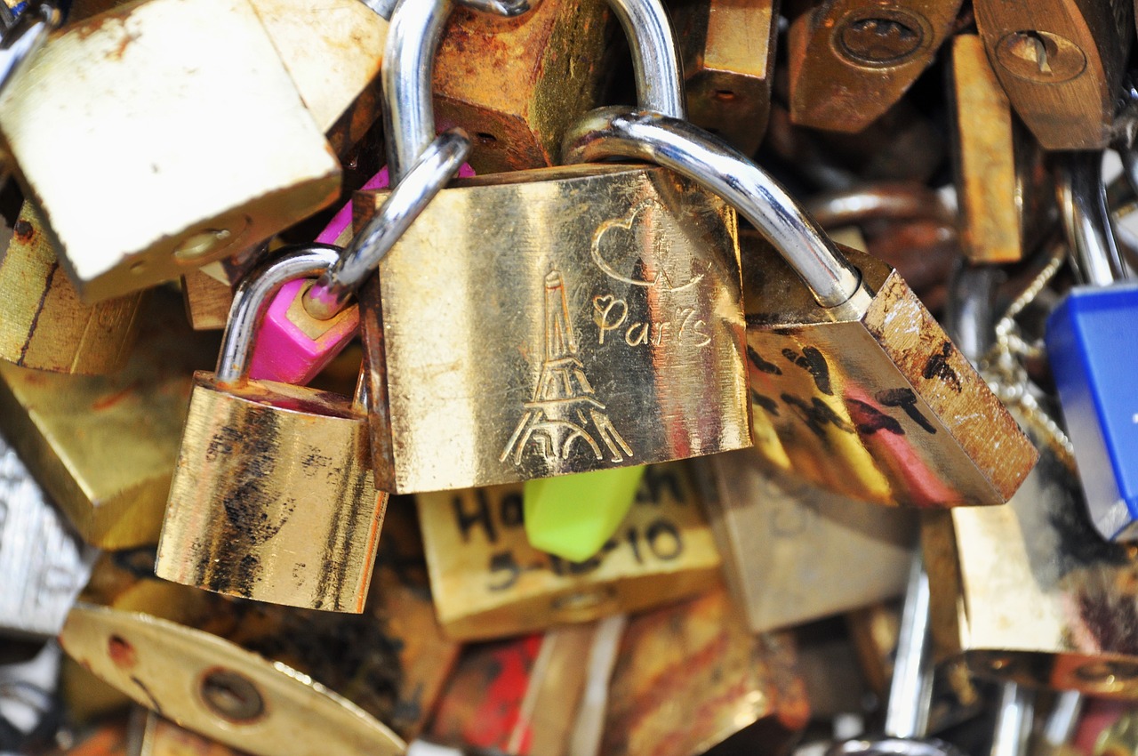 paris bridge seine free photo