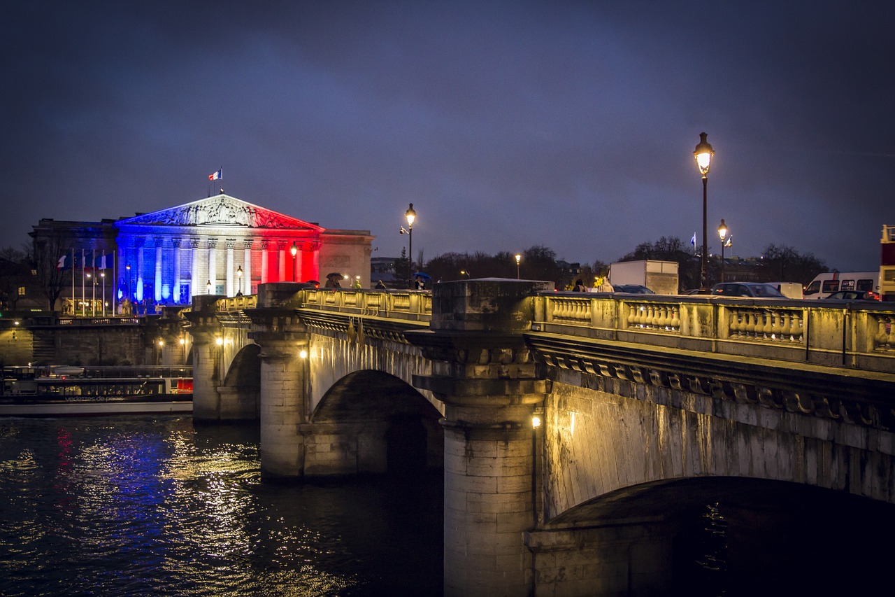 paris france flag free photo