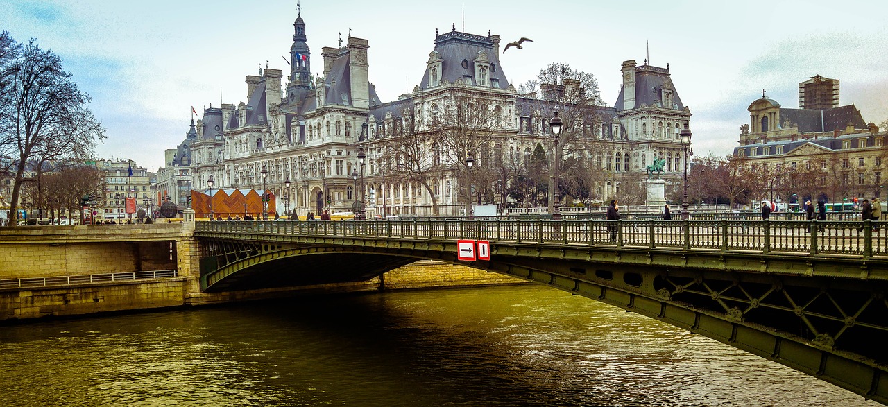 paris bridge seine free photo