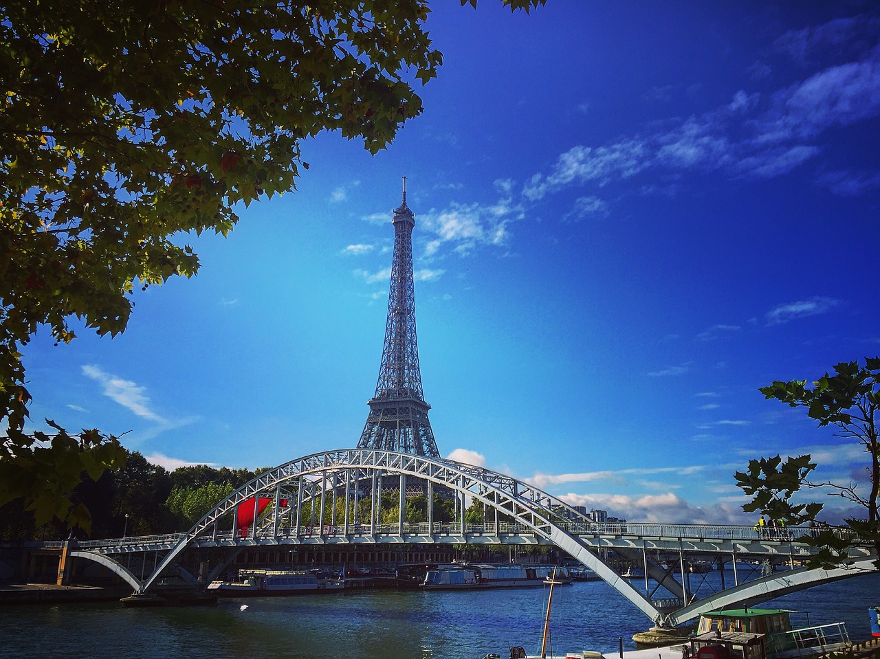 paris france trees free photo