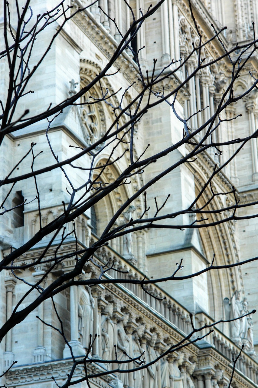 paris facade architecture free photo