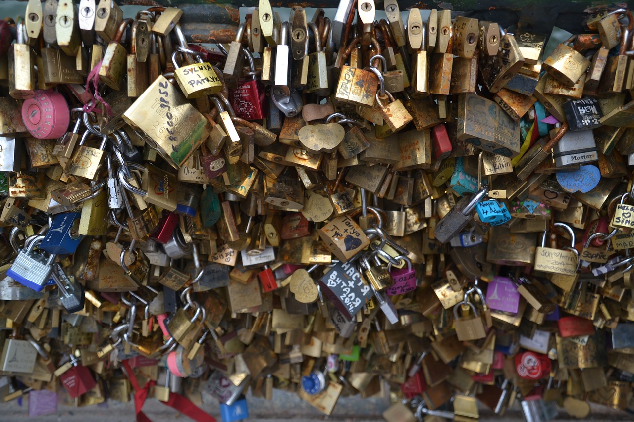 paris bridge france free photo