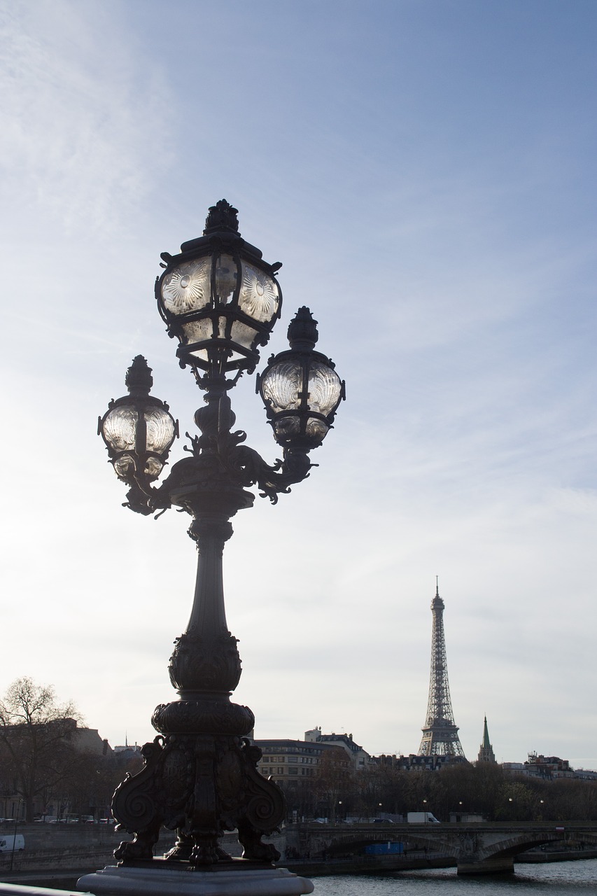 paris seine lamppost free photo