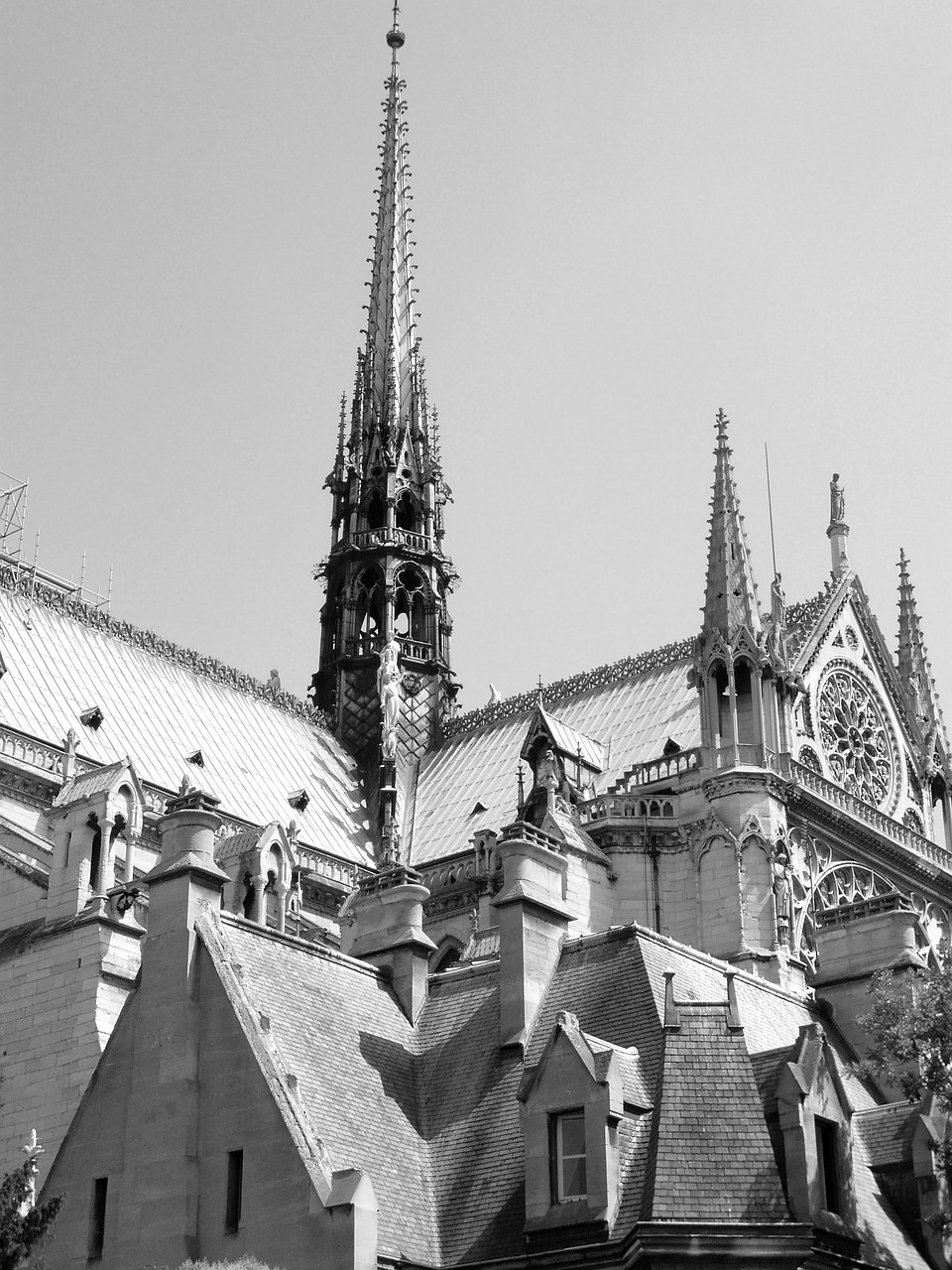 paris fountain notre dame free photo