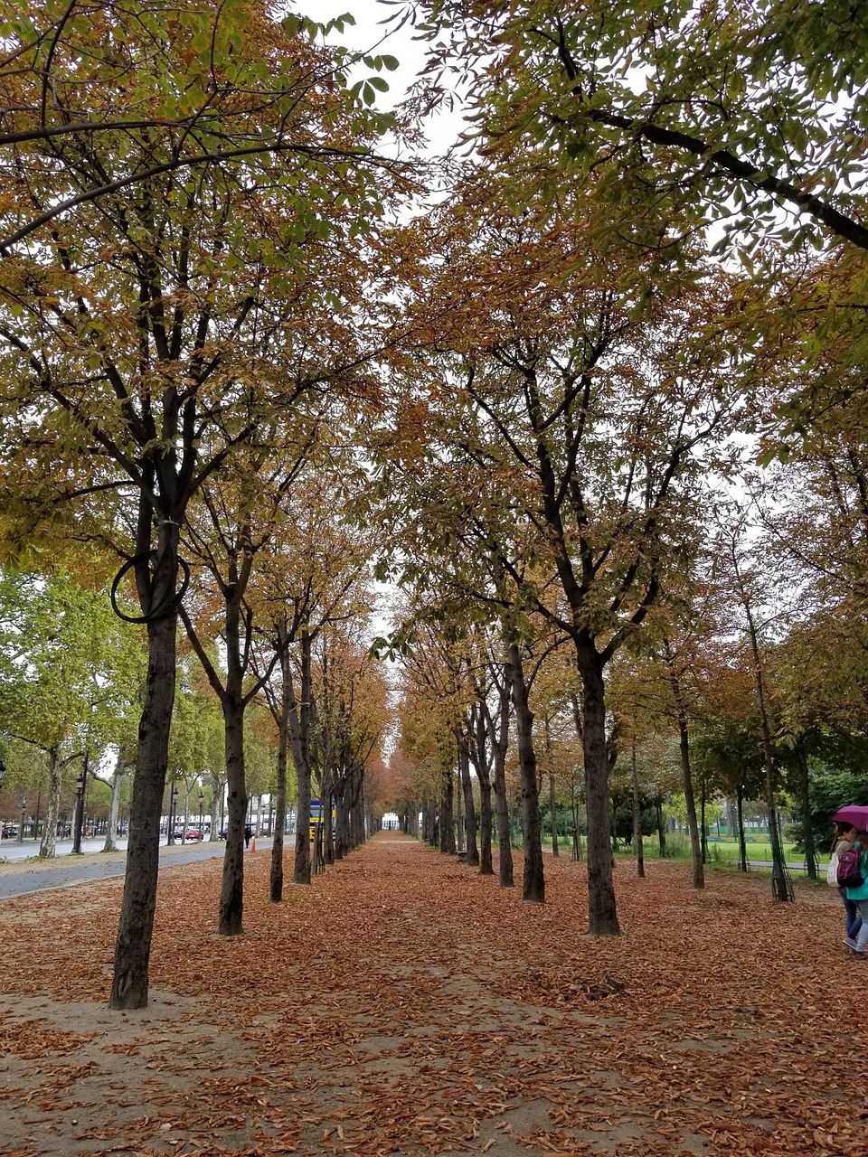 paris street outdoor free photo