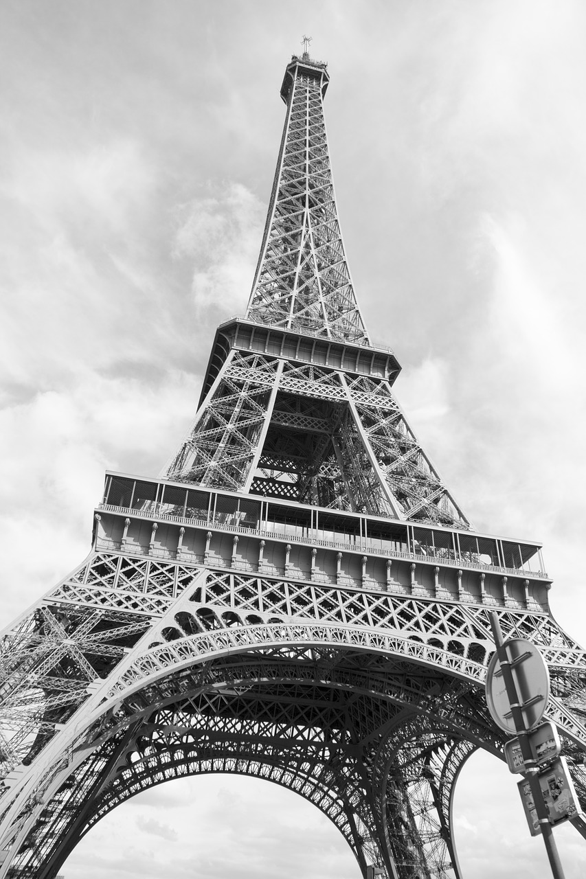 paris  france  tower free photo