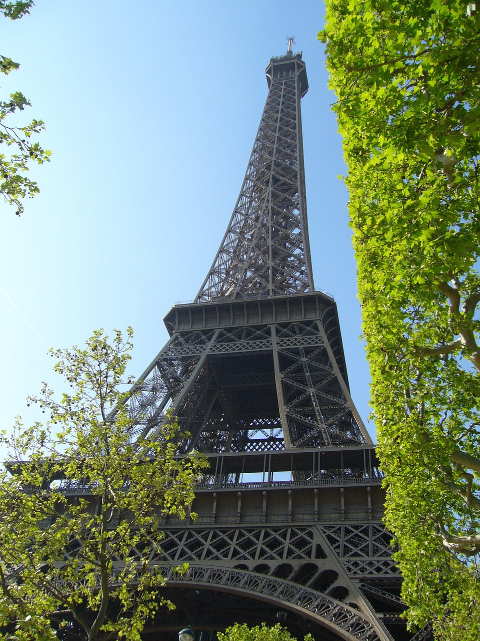 paris eiffel tower tower free photo