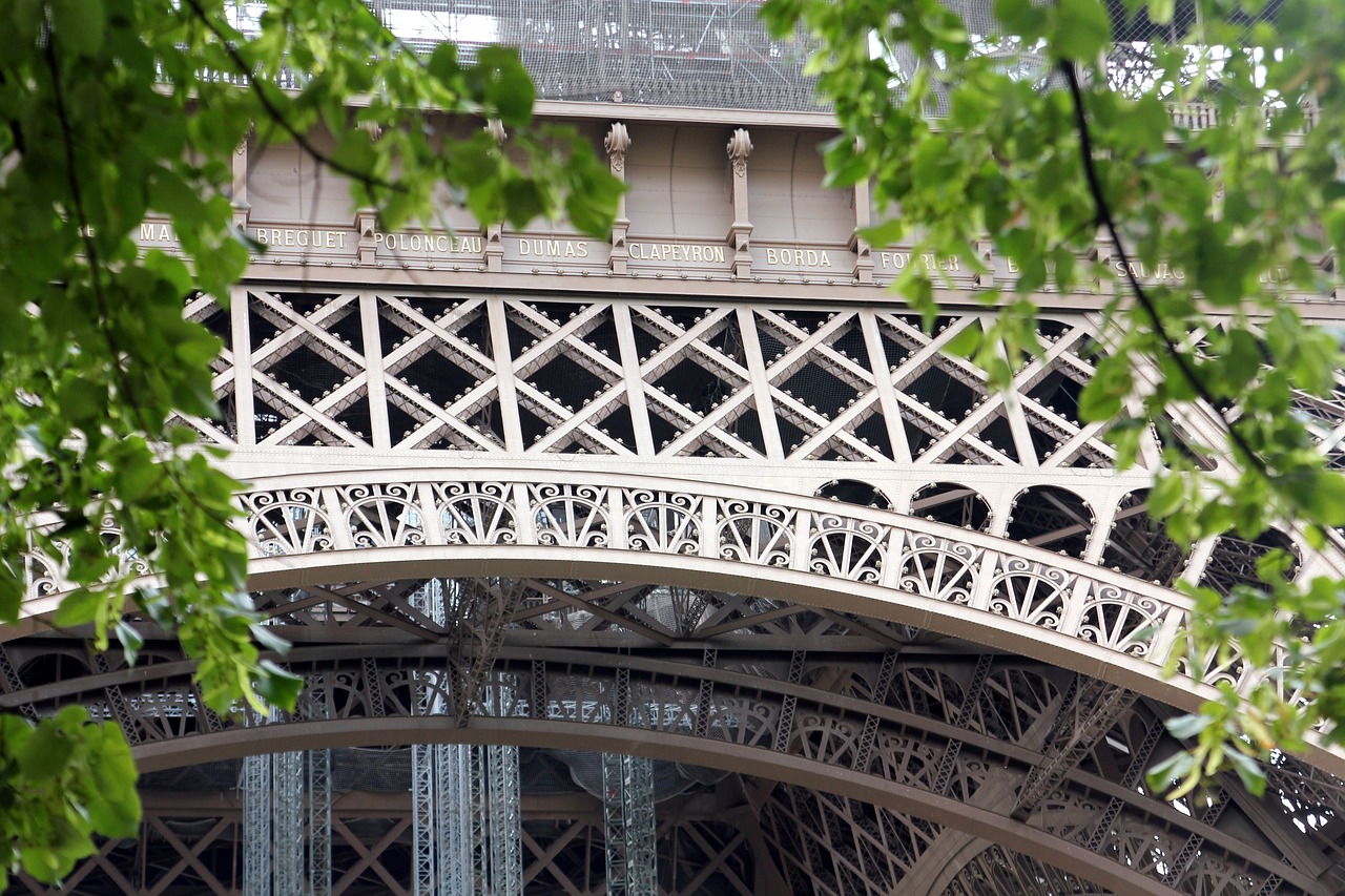 paris  eiffel tower  france free photo