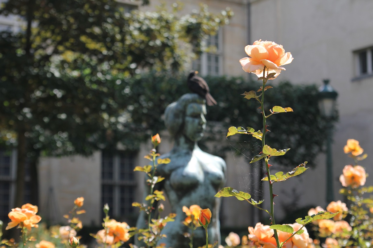 paris  statue  france free photo