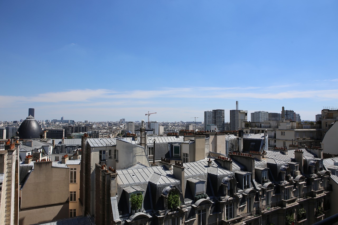 paris  france  roofs free photo