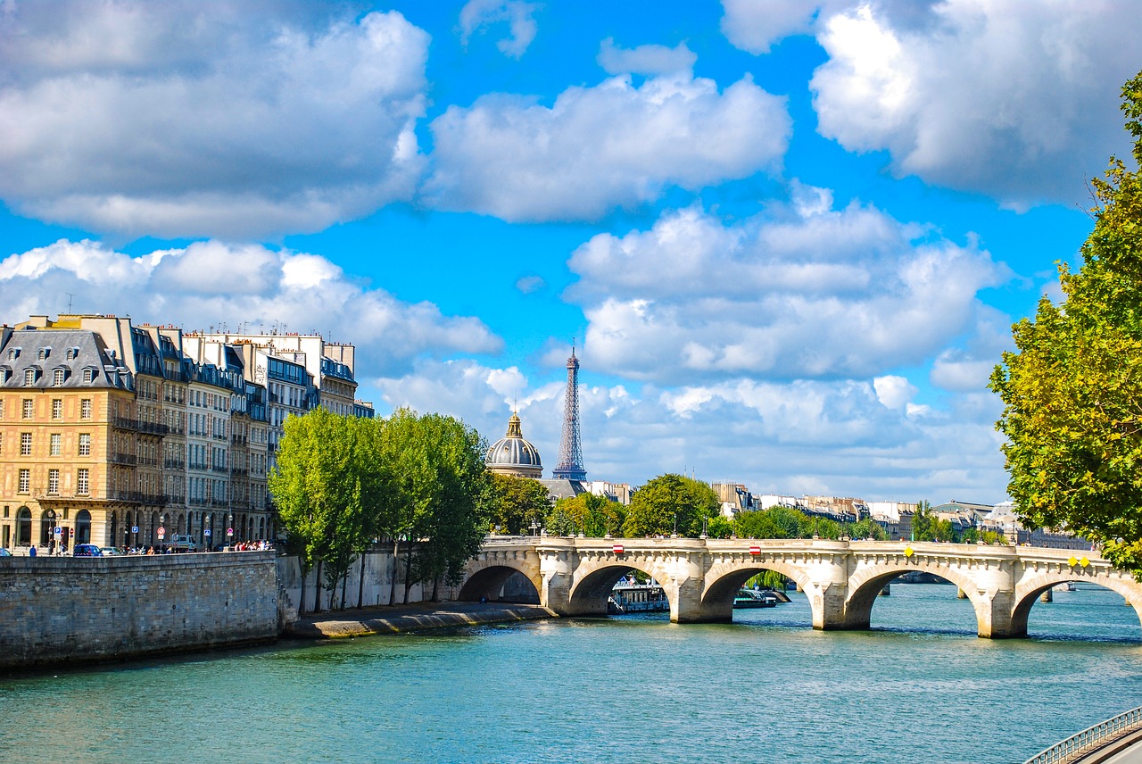 paris  bridge  river free photo