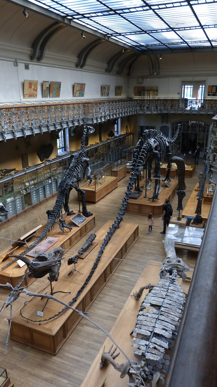paris museum dinosaur free photo