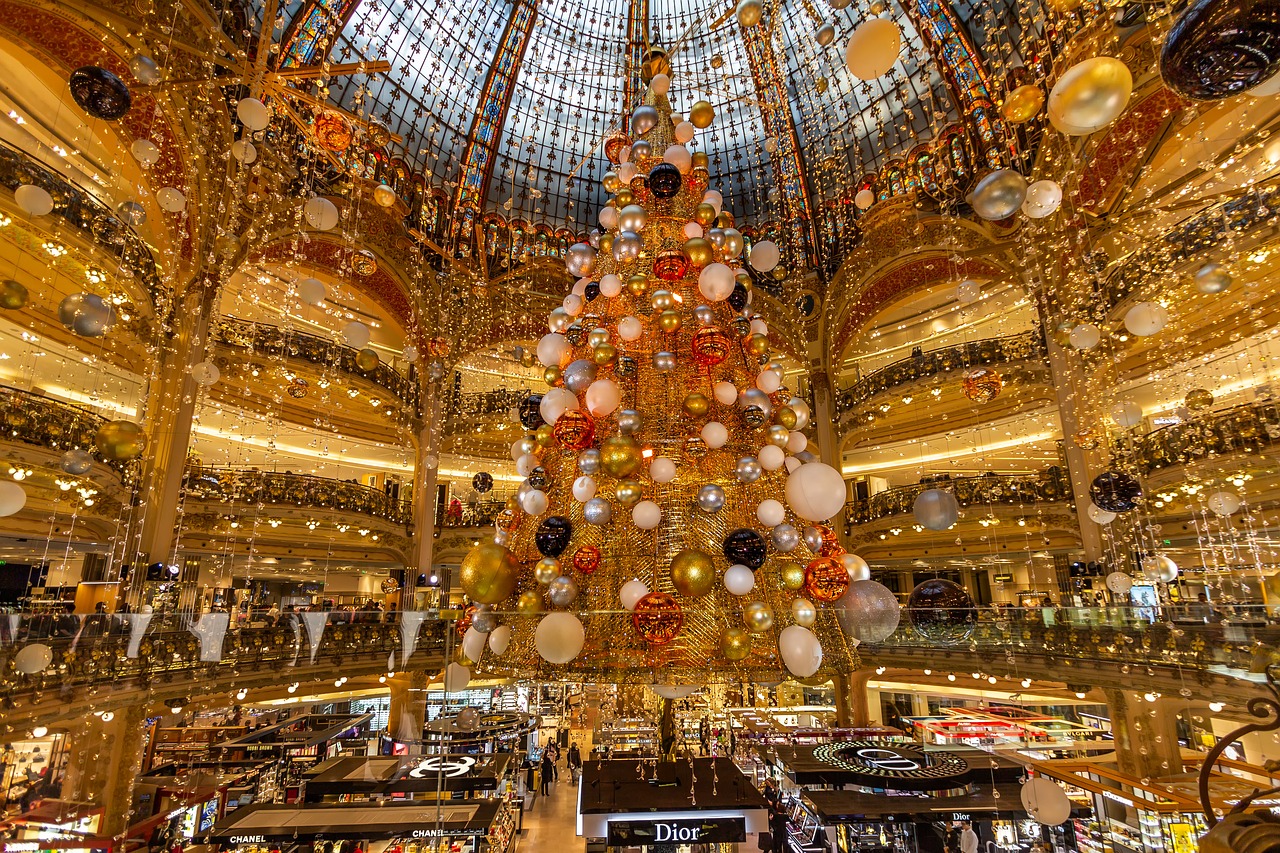 paris  department stores  france free photo