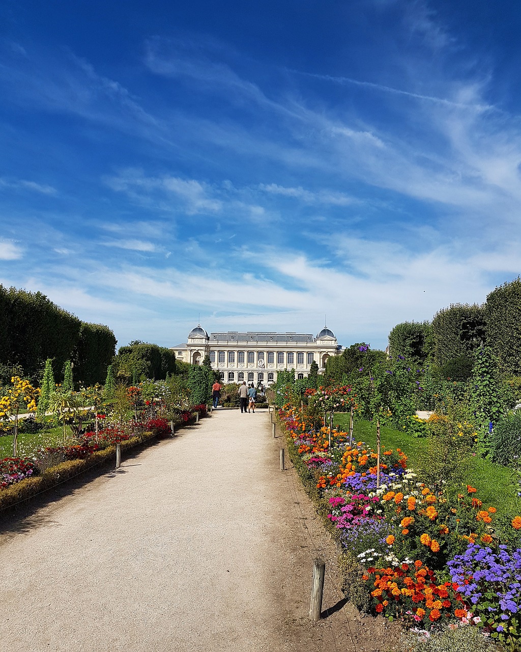 paris  museum of natural history  flowers free photo