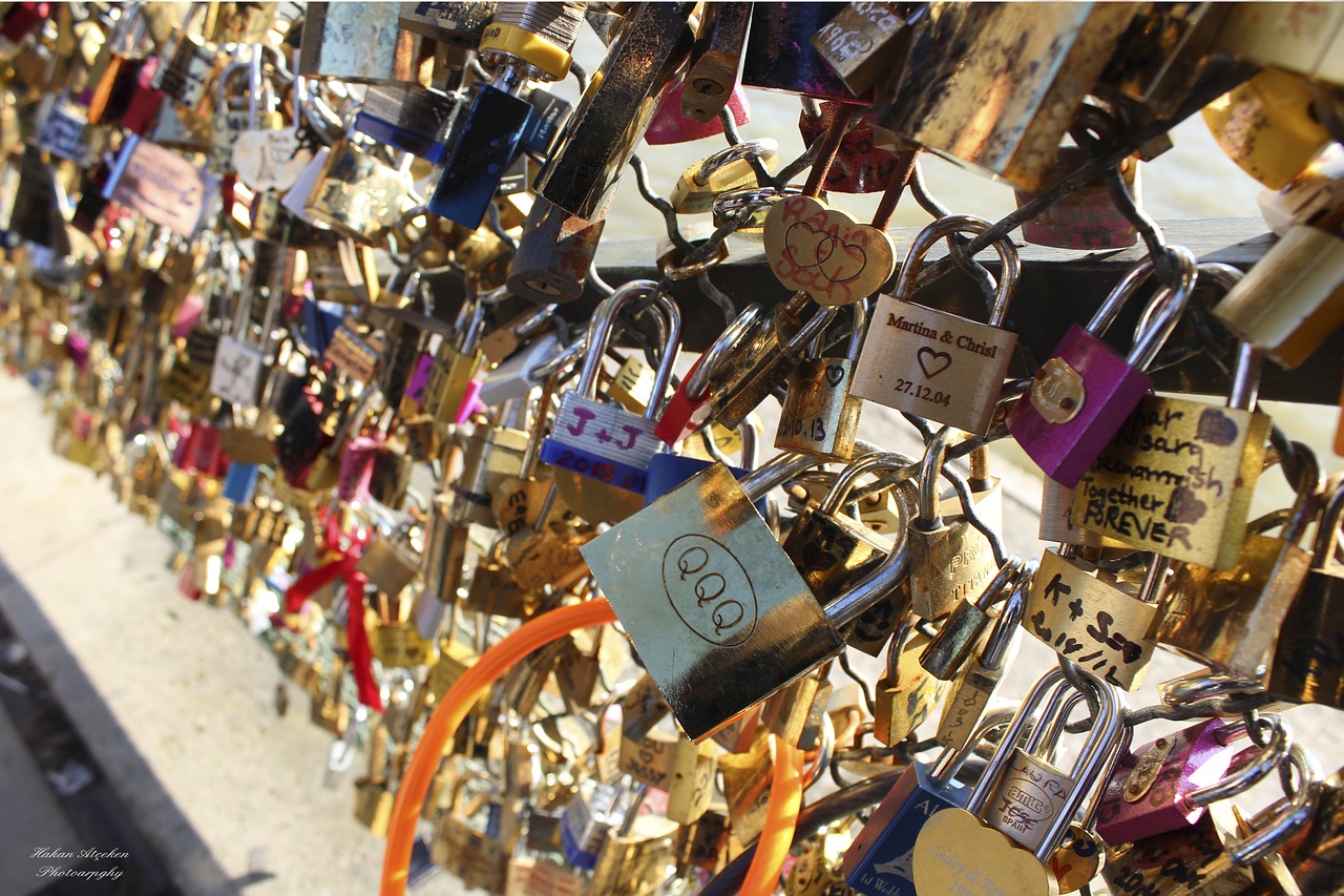 paris  bridge  lock free photo