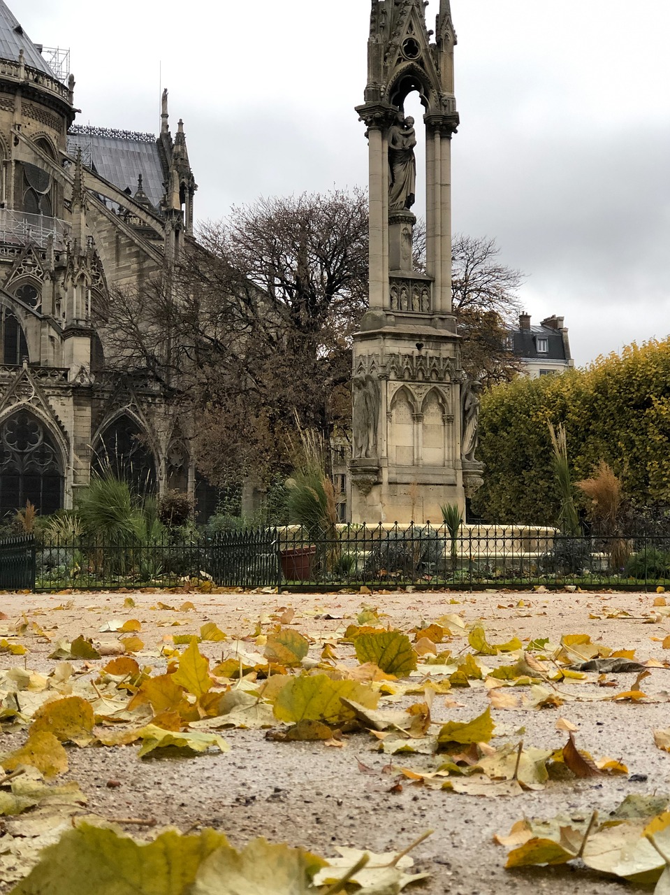 paris  france  autumn free photo