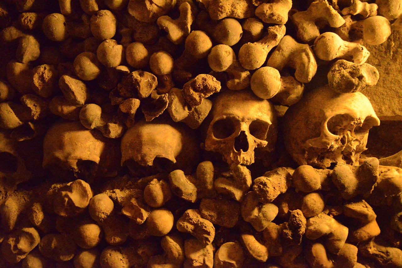 paris  catacombs  skulls free photo