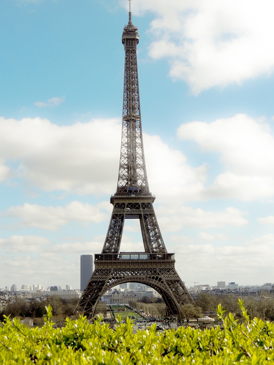 paris  eiffel tower  france free photo