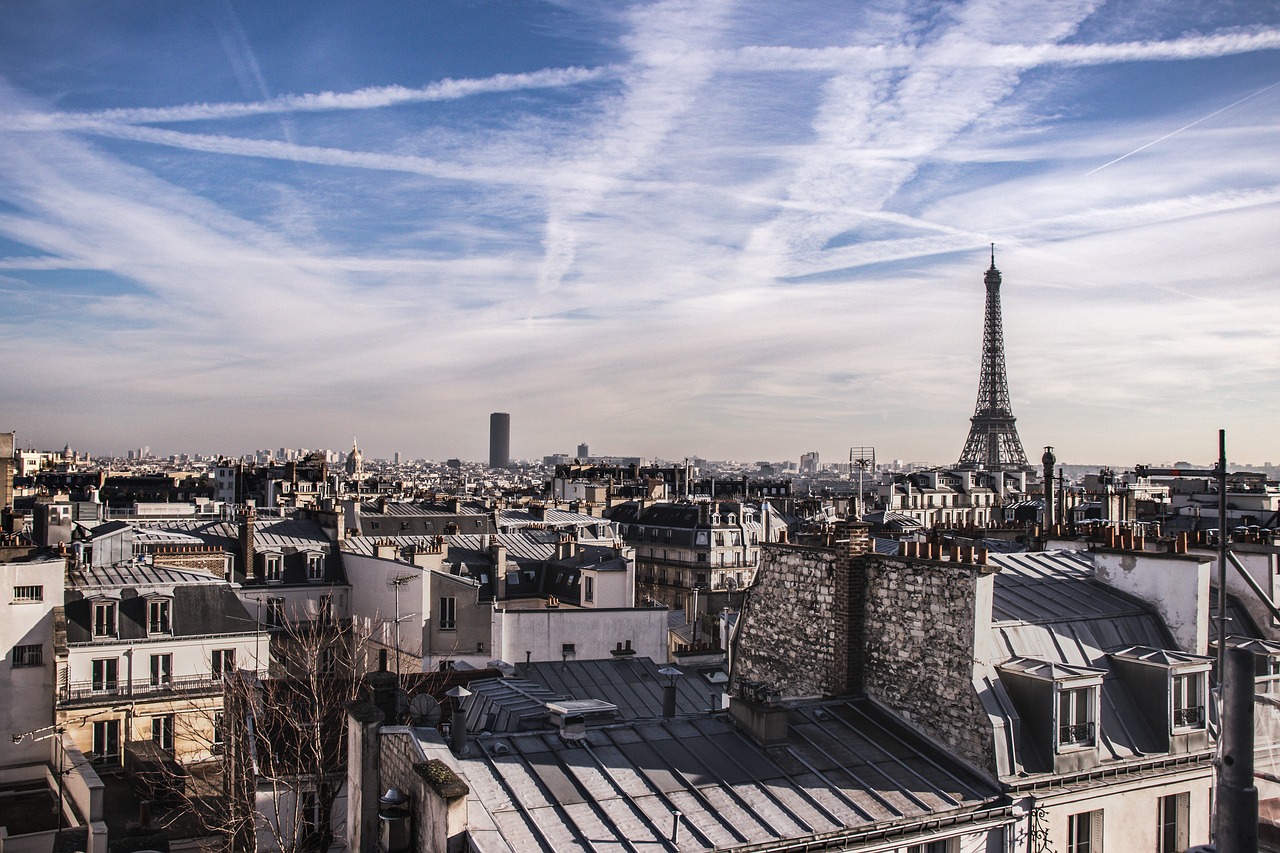 paris  eiffel tower  roof free photo