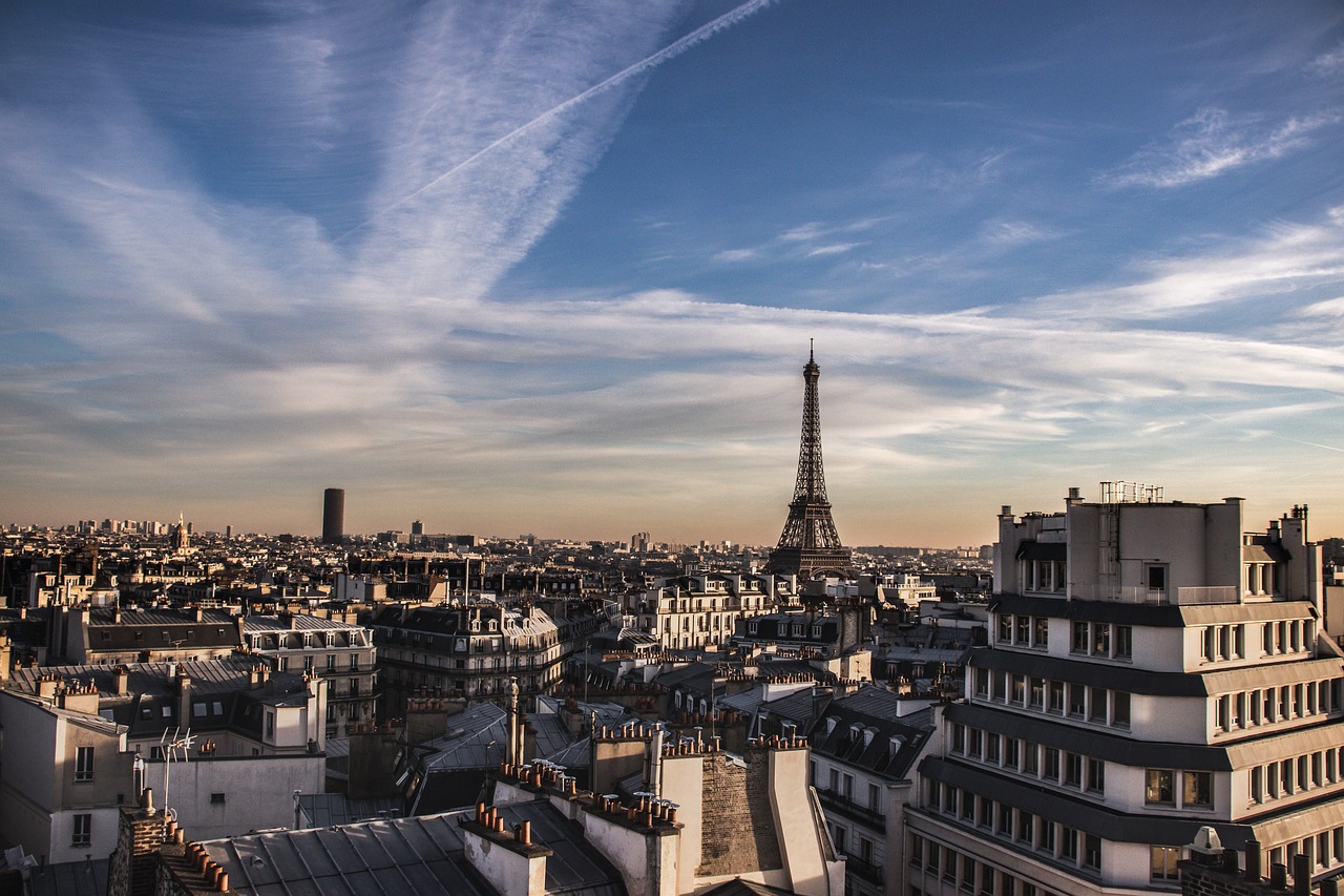 paris  eiffel tower  roof free photo