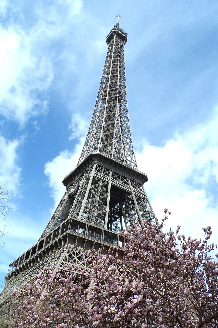 paris eiffel france free photo