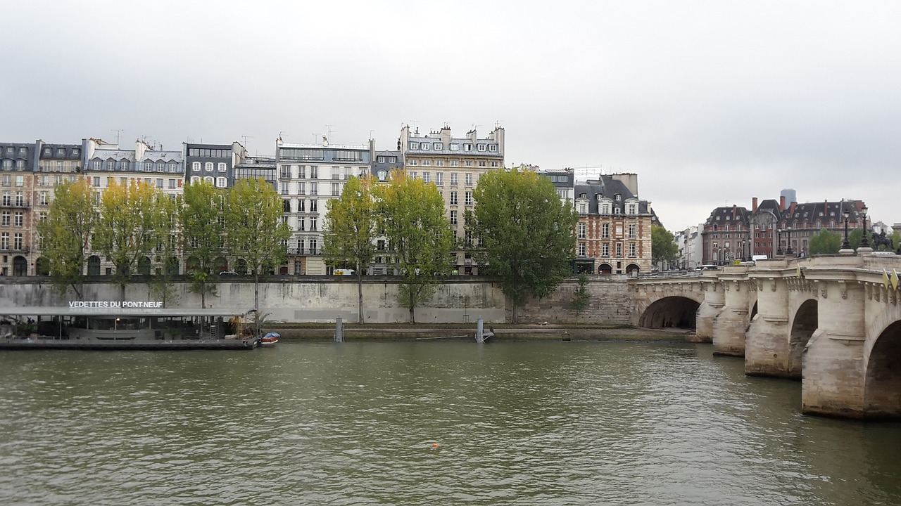 paris senna pont neuf free photo