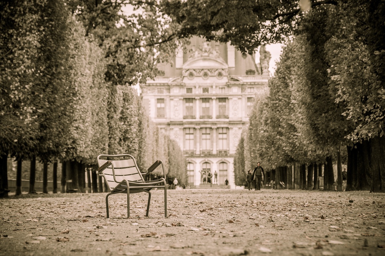 paris tuileries park free photo