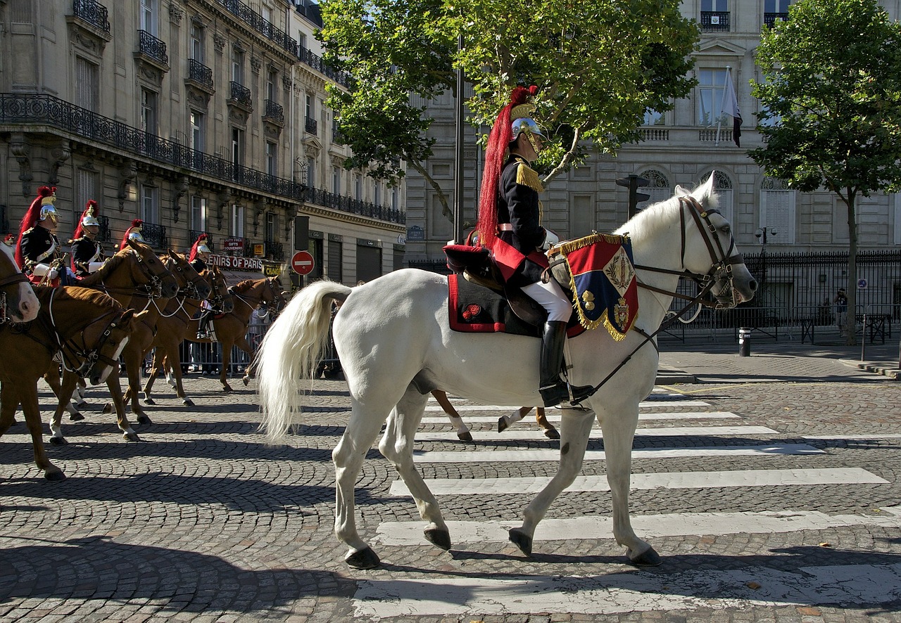 paris france horses free photo