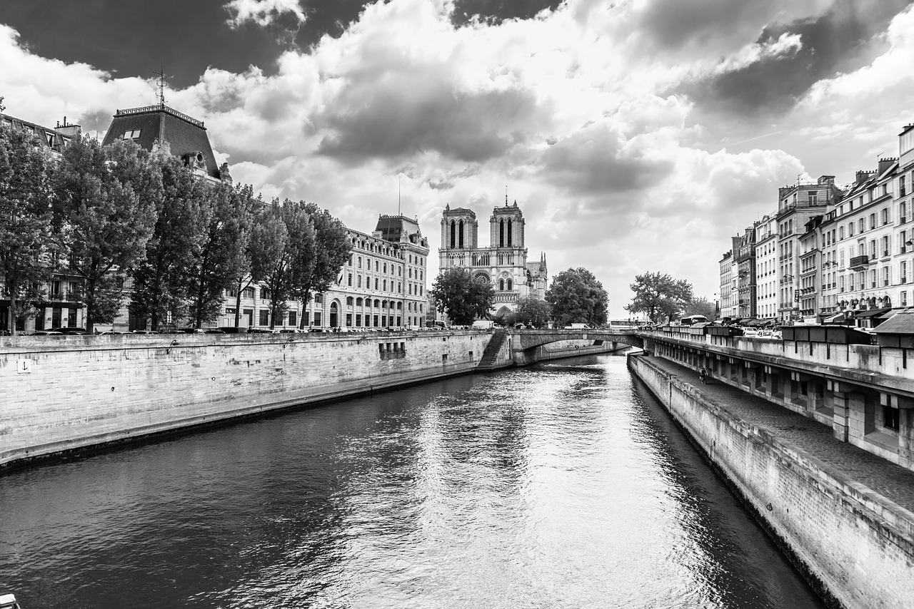 paris notre dame black and white free photo