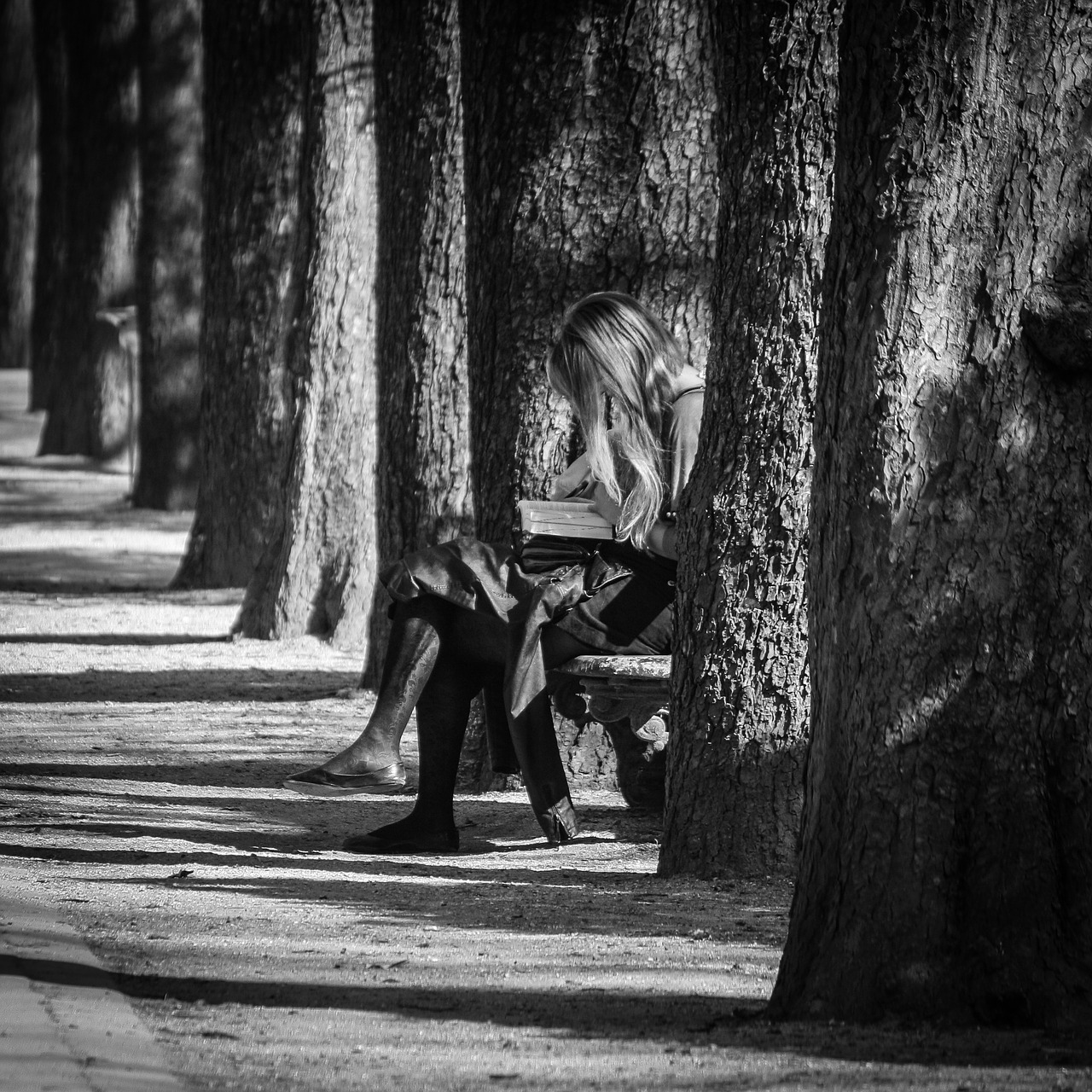 paris jardin des plantes public bench free photo