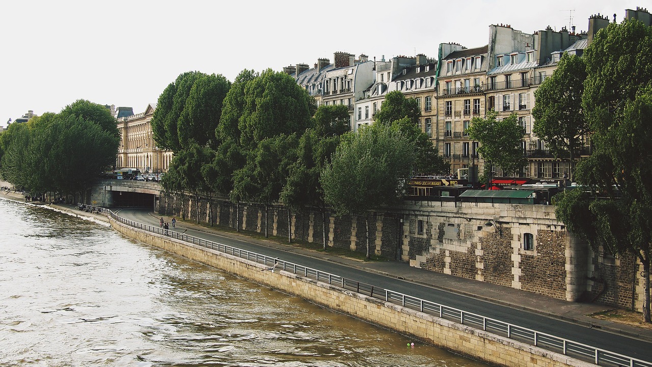 paris french france free photo